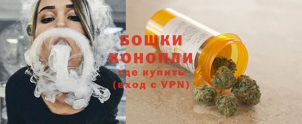 PSILOCYBIN Балахна