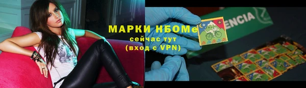 PSILOCYBIN Балахна
