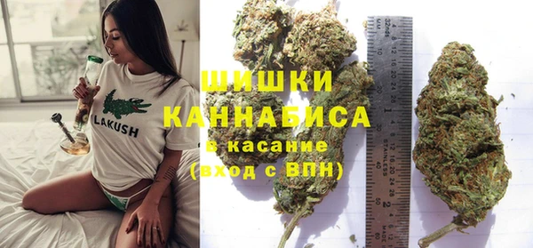 PSILOCYBIN Балахна